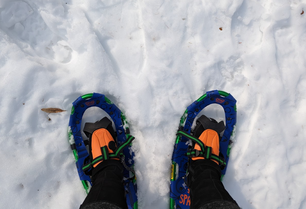 Snow shoeing