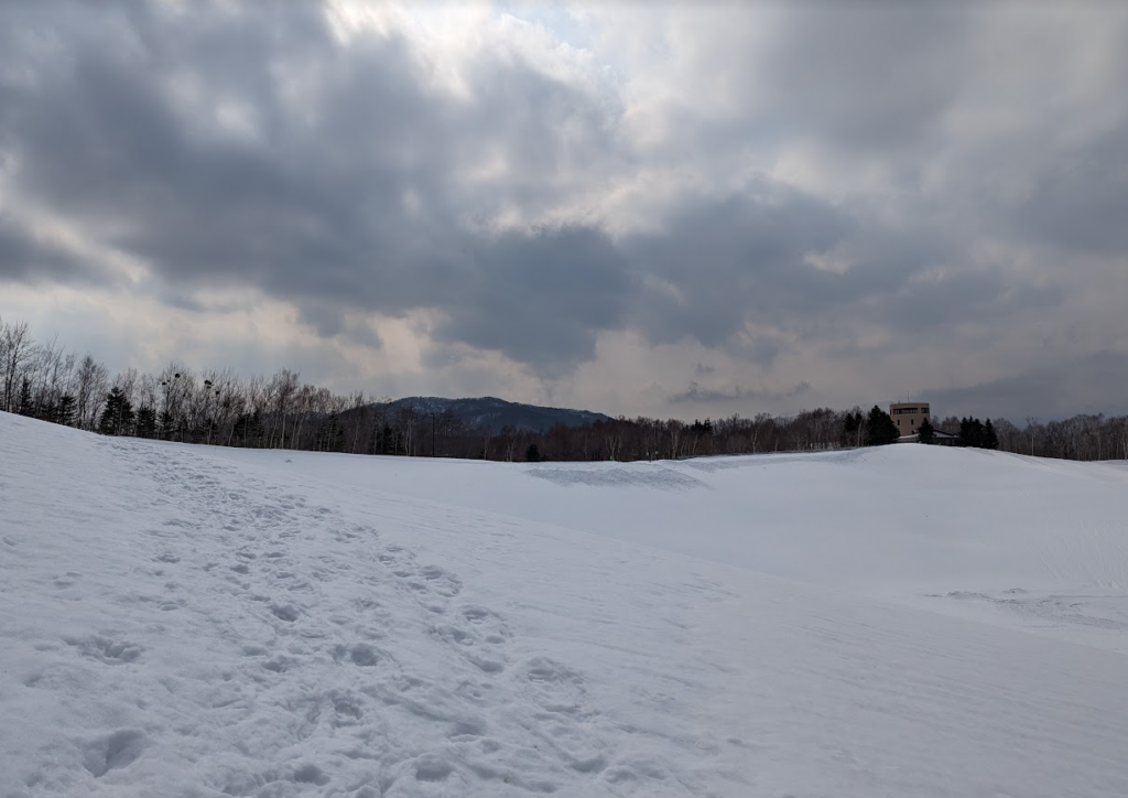 Tracks from snow shoeing