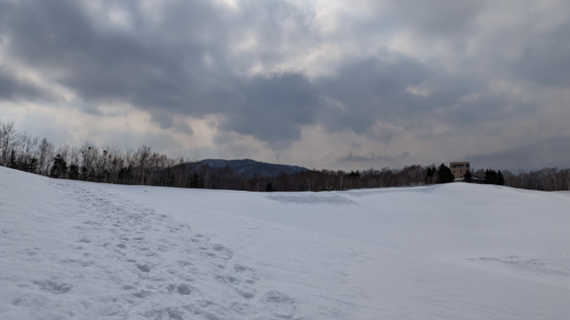 Path from snow shoeing