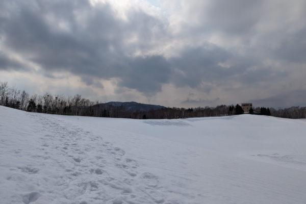 Path from snow shoeing